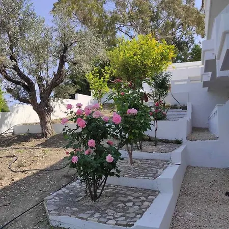 Arocaria In With Garden , Mountain And Sea View Appartement